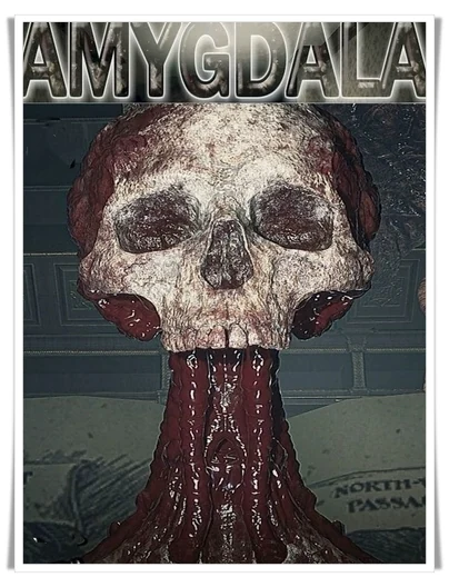 Amygdala
